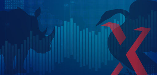 Black Swan Vs Grey Rhino